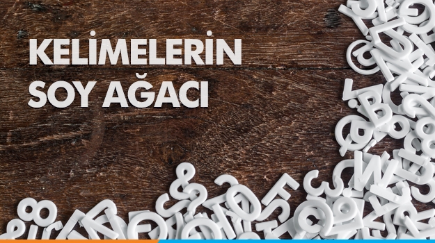 Kelimelerin Soy Ağacı