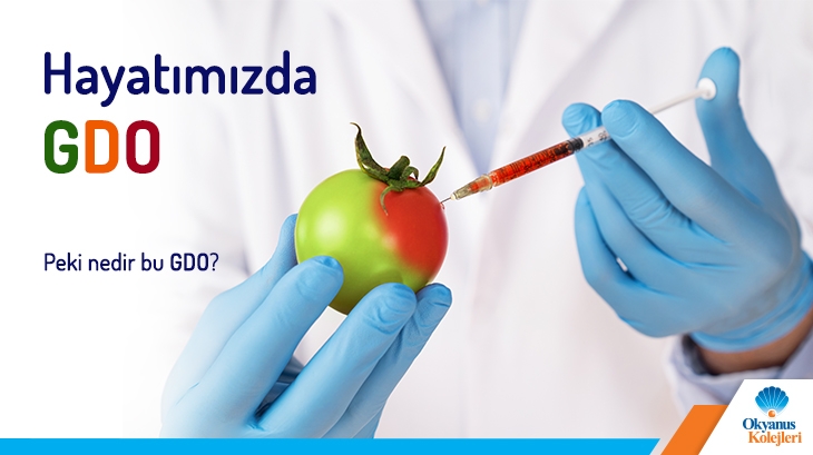 Hayatımızda Gdo