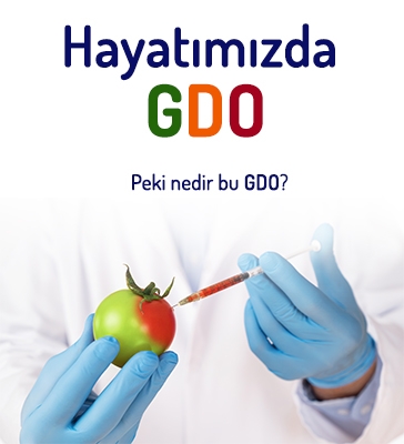 Hayatımızda Gdo