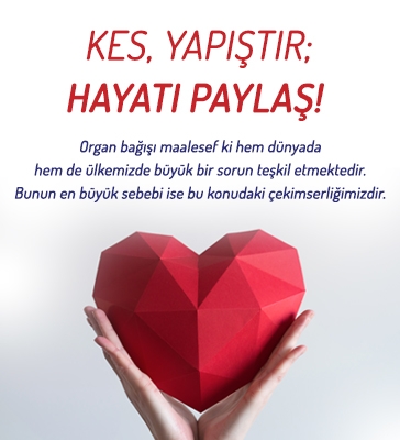Kes, Yapıştır; Hayatı Paylaş!