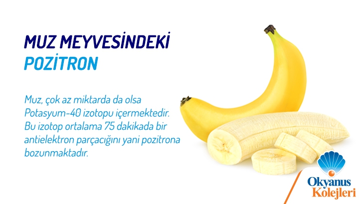 Muz Meyvesindeki Pozitron