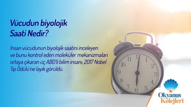 Vücudun biyolojik saati nedir?