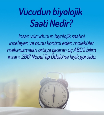 Vücudun biyolojik saati nedir?