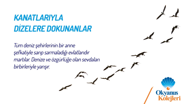 Kanatlarıyla Dizelere Dokunanlar