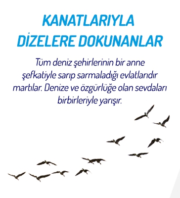 Kanatlarıyla Dizelere Dokunanlar