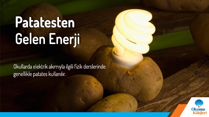 Patatesten Gelen Enerji