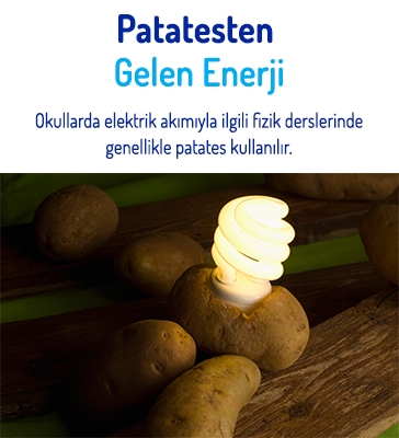 Patatesten Gelen Enerji