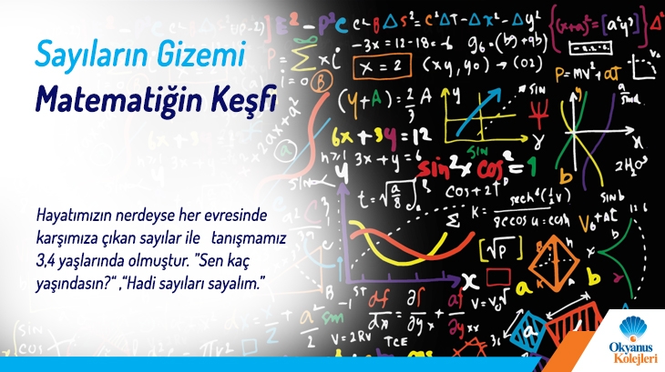 Sayıların Gizemi Matematiğin Keşfi