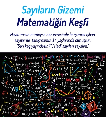Sayıların Gizemi Matematiğin Keşfi