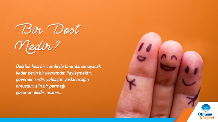 Bir Dost Nedir?