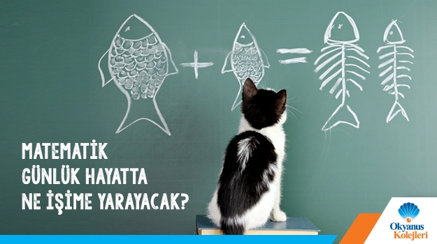 Matematik Günlük Hayatta Ne İşime Yarayacak?