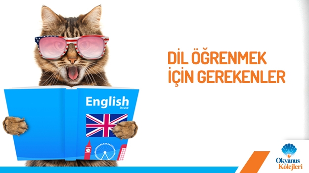 Dil Öğrenmek İçin Gerekenler