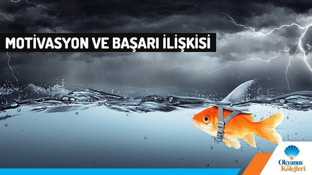 Öğrencilerin Öğrenme Stillerine Göre Motivasyon ve Başarı Düzeyleri Nasıl Etkilenir?
