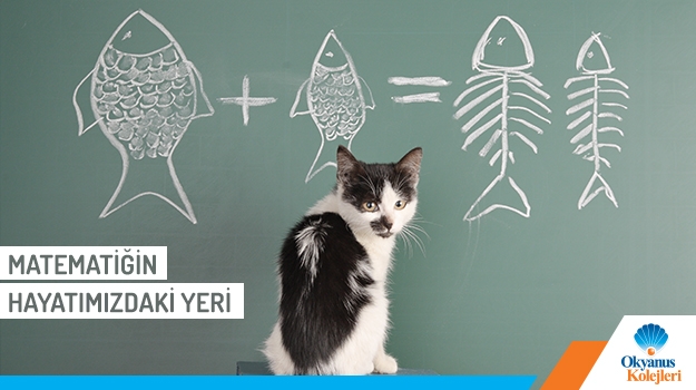 Matematiğin Hayatımızdaki Yeri