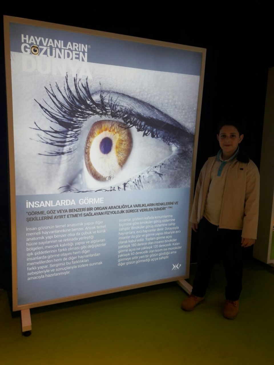 Okyanus Koleji Kolej Ozel Okul Ana Okulu Ilkokul Ortaokul Lise Avcilar Okyanusta Cern E Kesif Sergisi Ve Hayvanlarin Gozunden Dunya Sergisi