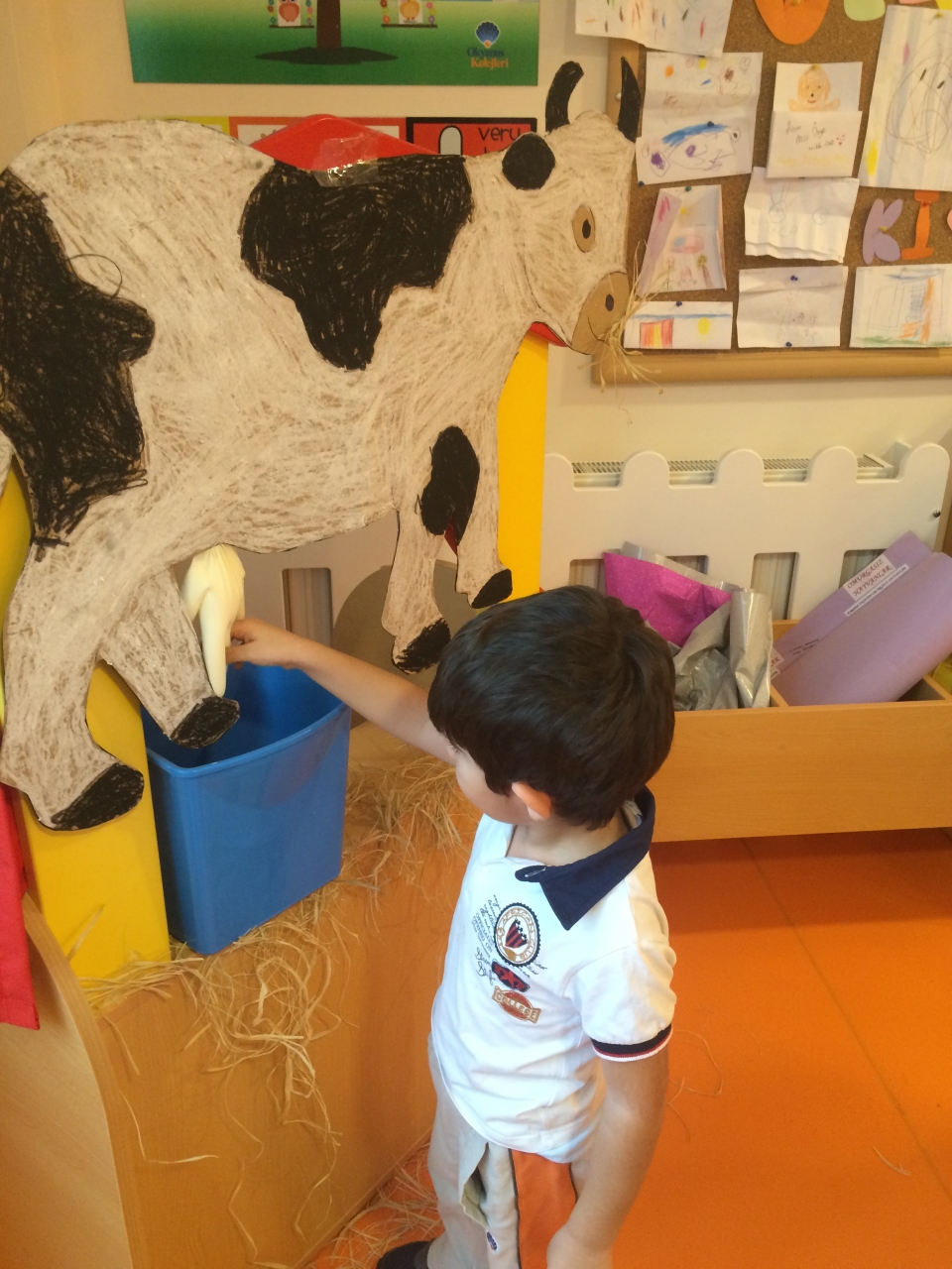 Okyanus Koleji Kolej Ozel Okul Ana Okulu Ilkokul Ortaokul