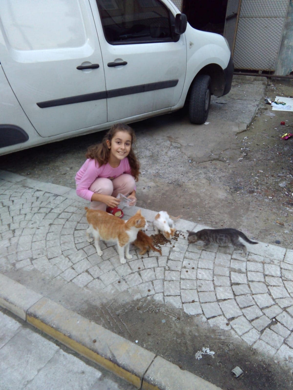 ekim hayvan haklari koruma