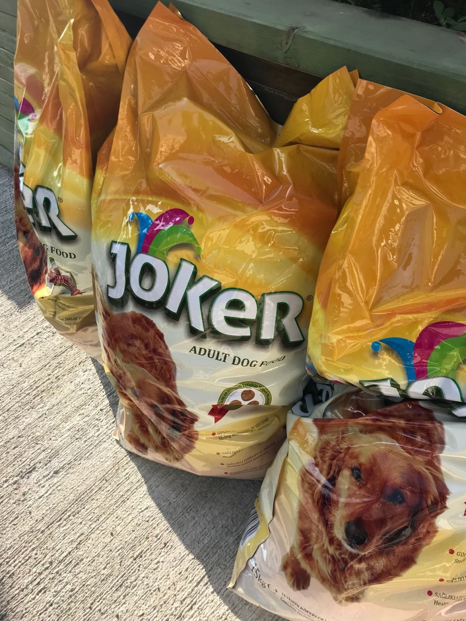 Okyanus Koleji Kolej Ozel Okul Ana Okulu Ilkokul Ortaokul Lise 8 B Sinifi Danismanlik Gezisi