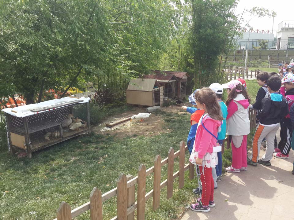Avcilar Okyanus Koleji Okul Oncesi Fotograf Avcilar Anasinifi A Grubu Ogrencileri Botanik Bahce De