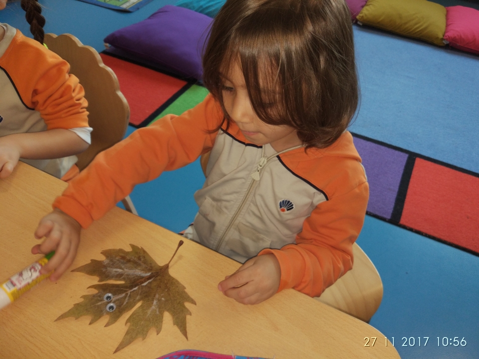 Okyanus Koleji Kolej Ozel Okul Ana Okulu Ilkokul Ortaokul