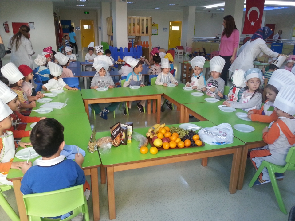 Okyanus Koleji Kolej Ozel Okul Ana Okulu Ilkokul Ortaokul