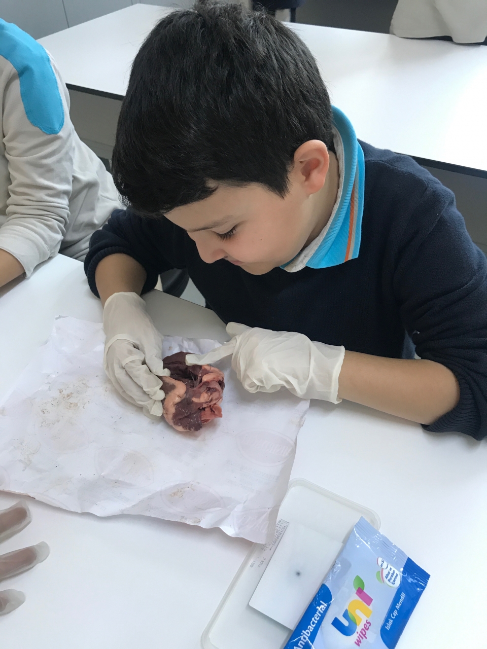 Ankara Eryaman Okyanus Koleji Ortaokul Fotograf 6 Siniflarin Kalp Diseksiyonu