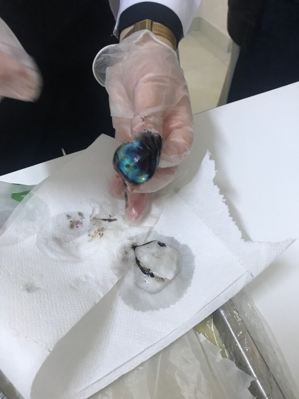 Ankara Eryaman Okyanus Koleji Ortaokul Fotograf 7 Siniflarin Goz Diseksiyonu