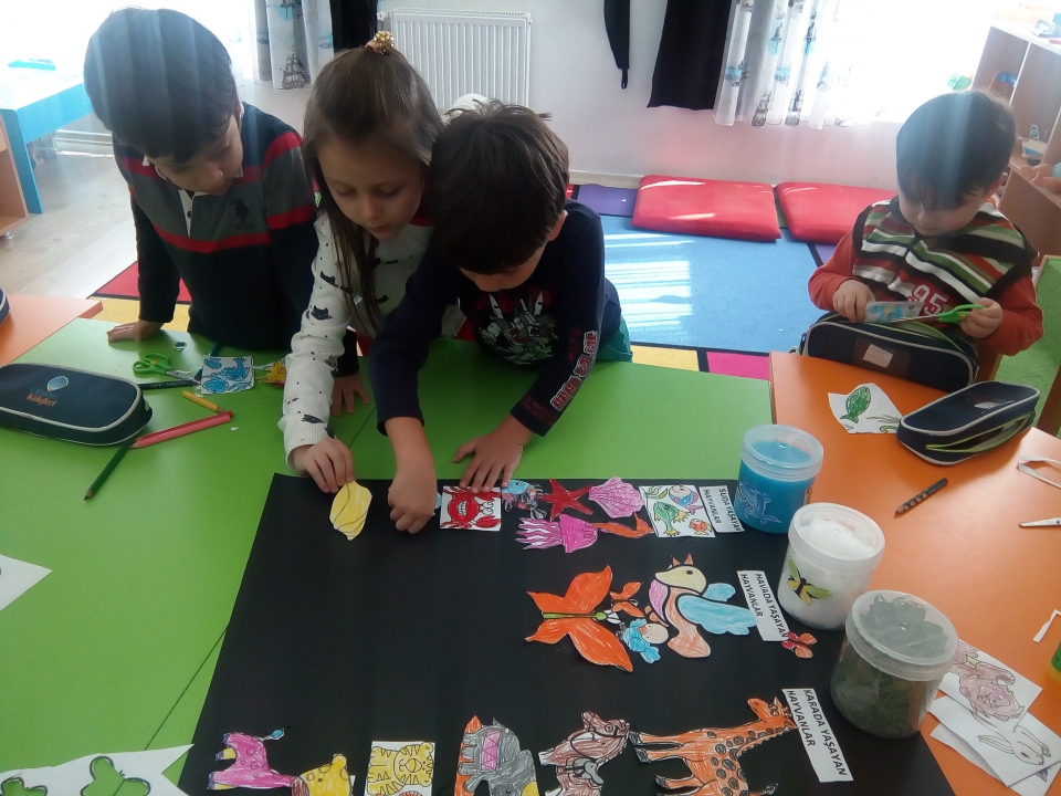 okyanus koleji kolej ozel okul ana