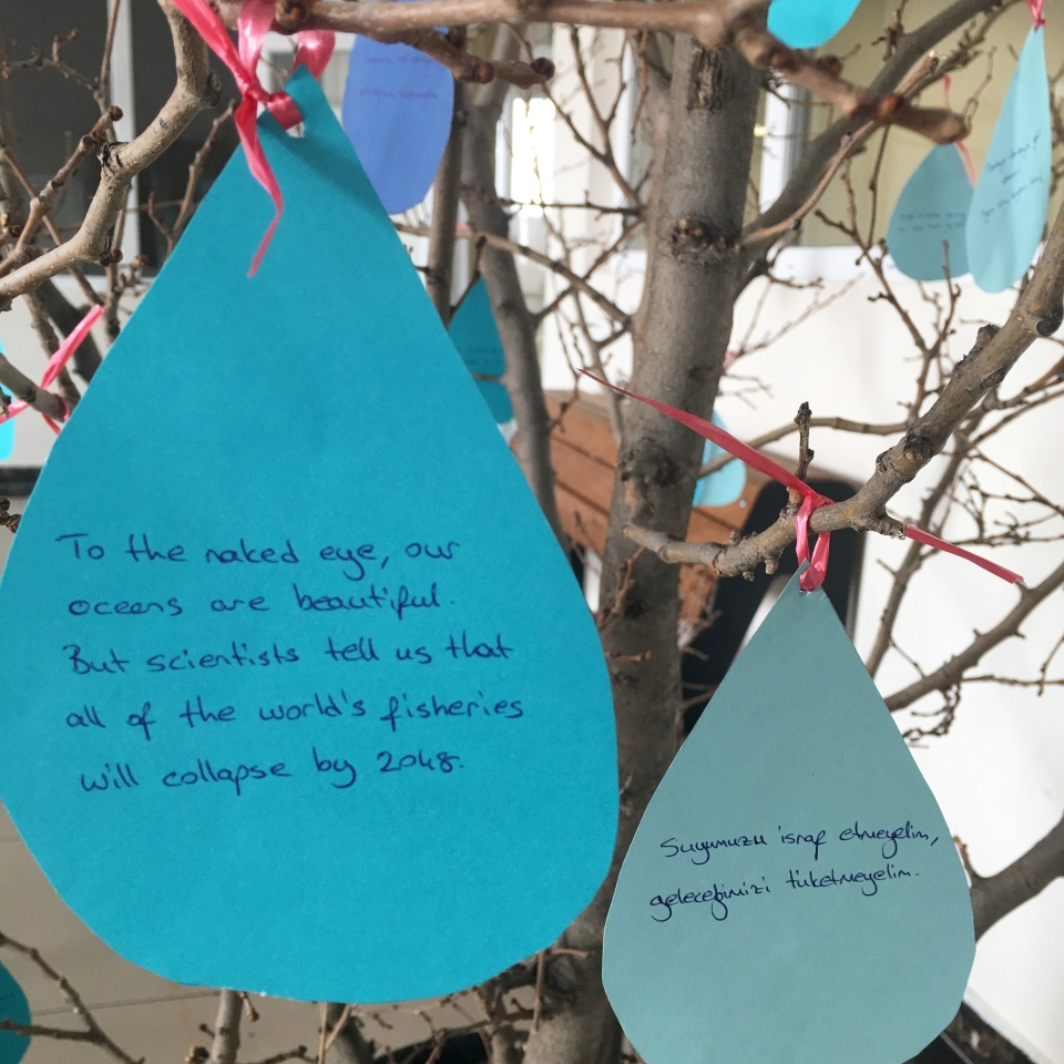 ortaokul kademesinde 22 mart dunya su