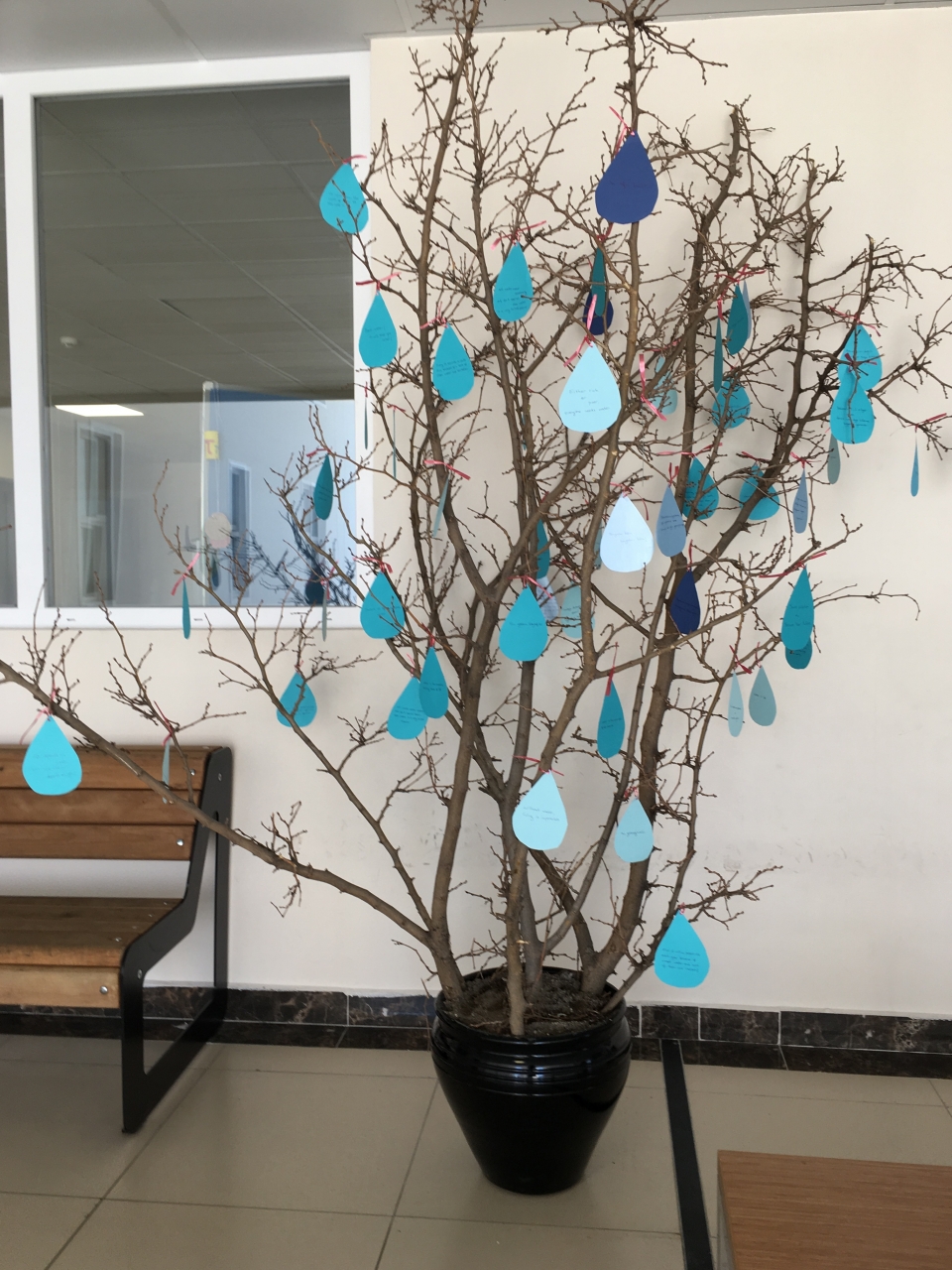 ortaokul kademesinde 22 mart dunya su