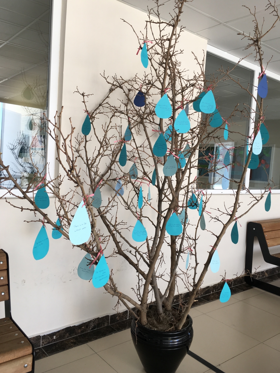 ortaokul kademesinde 22 mart dunya su