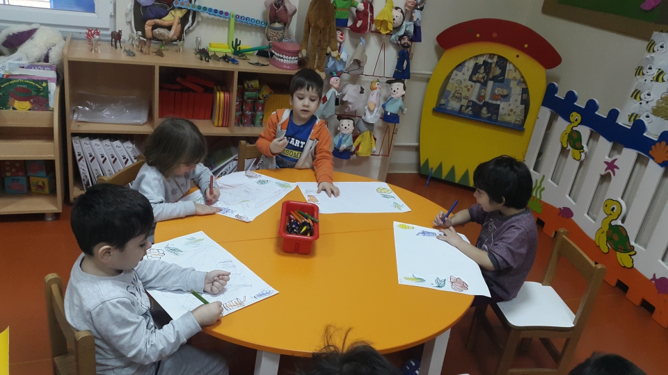 Okyanus Koleji Kolej Ozel Okul Ana Okulu Ilkokul Ortaokul
