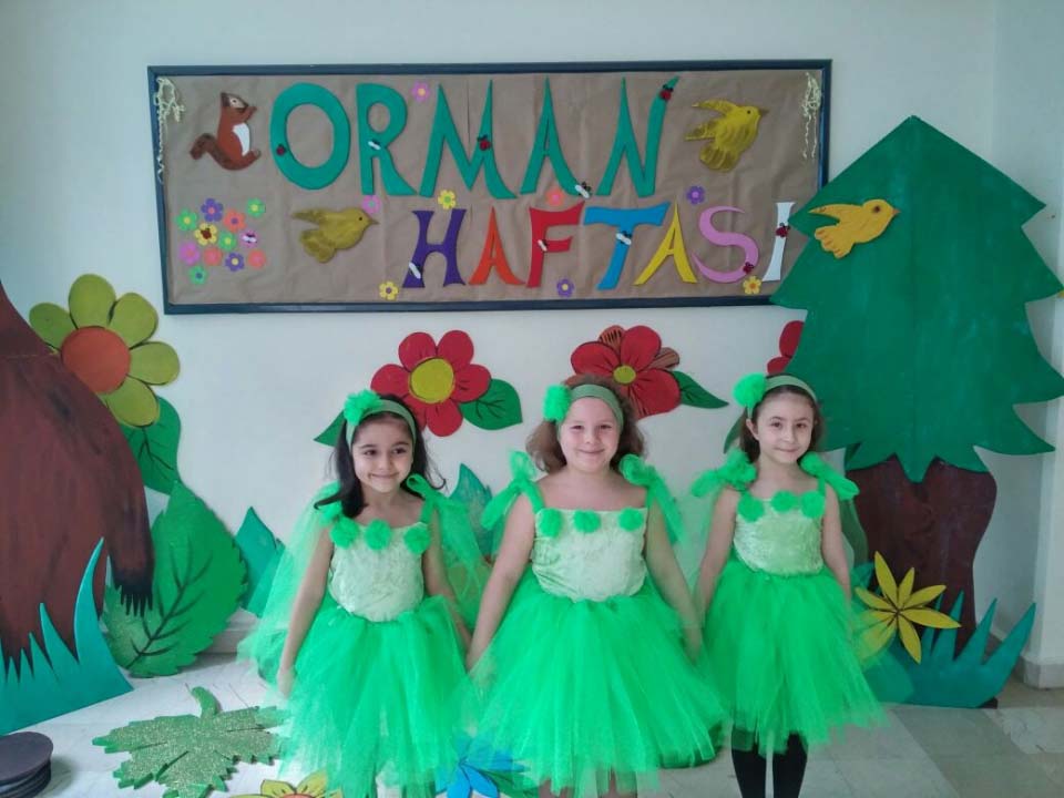 Orman Nasil Cizilir Orman Manzarasi Cocuklar Icin Resim Cizme Ruya Okulu Youtube