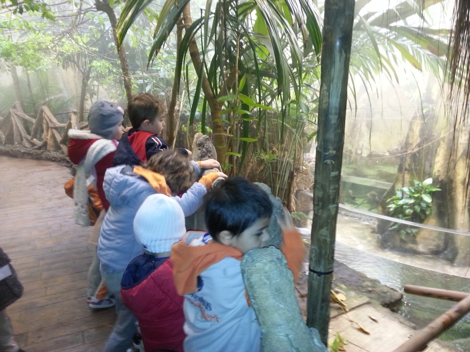 Gunesli Okyanus Koleji Okul Oncesi Haber Gunesli Okul Oncesi C Grubu Ogrencileri Florya Akvaryum Gezisinde