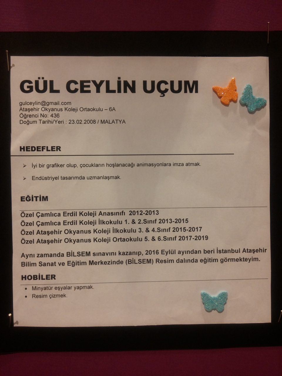 Okyanus Koleji Kolej Ozel Okul Ana Okulu Ilkokul Ortaokul Lise Atasehir Okyanus Koleji Ayin Sanatcisini Secti