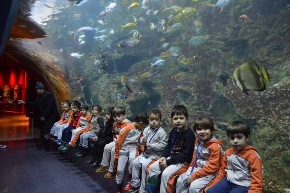 istanbul florya akvaryumda