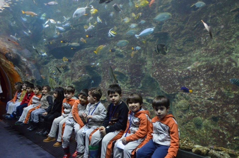 istanbul florya akvaryumda