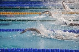 Yüzme Şampiyonası