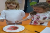 AVCILAR DENİZYILDIZI GRUBU FEN VE DOĞA ETKİNLİĞİNDE