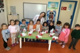 Güneşli Okyanus Koleji Okul Öncesi Yunuslar Grubu Proje Çalışması Yapıyor