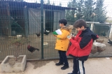 İncek Okyanus Koleji Öğrencileri Canlıları Sınıflandırıyor