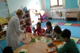İncek Okyanus Okul Öncesi Yunuslar Grubu Sanat Etkinliğinde Kurbağa Yaptılar