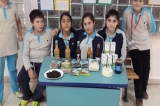 6. Sınıfların Organik Tarım Ürünleri Sergisi