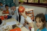 Bahçelievler Okyanus'ta Yerli Malı Haftası