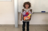 2-C Sınıfı Organlarımızı Öğreniyor