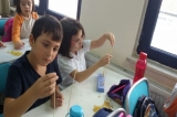 Abaküs Etkinliği