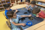 Avcılar Bulutlar Grubu Öğrencileri Okuma-Yazmaya Hazırlık Etkinliğinde;