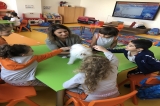 Beykent  Okyanus Koleji Okul Öncesi Gökkuşağı  Grubu  Aile Katılım  Etkinliğinde