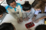 Boşaltım Sistemi Organımız Böbrek