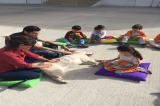 Eryaman Okul Öncesi Gezegenler Grubu Aile Katılımı Etkinliğinde